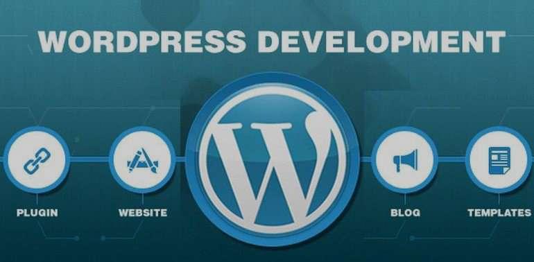 wordpress development company services