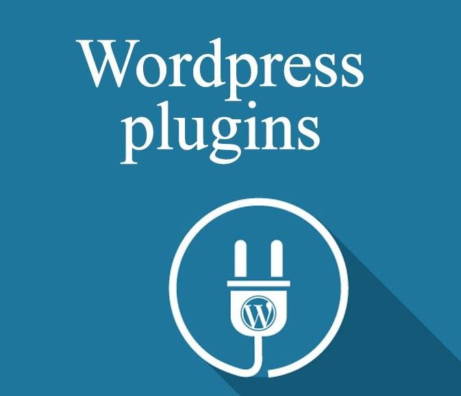 wordpress development services in pune